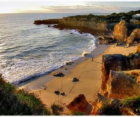 别墅 肯斯别墅酒店 *