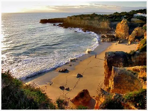 别墅 肯斯别墅酒店 *